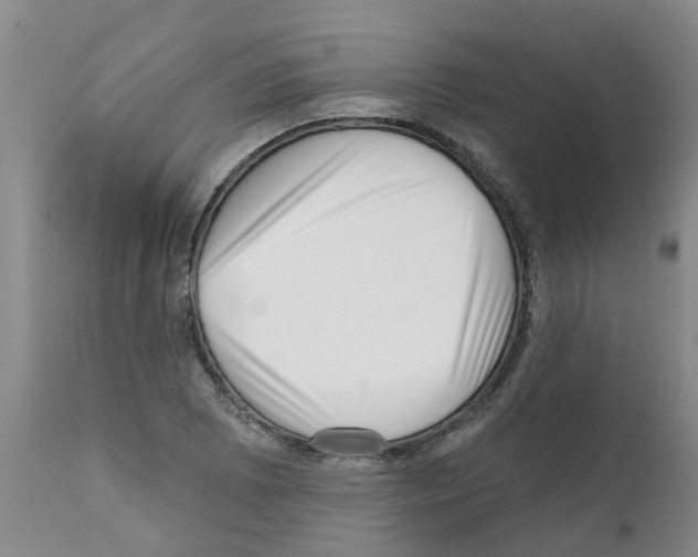 X0000112101073200909151154