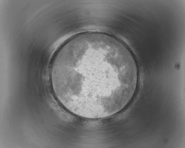 X0000112101074200909151154