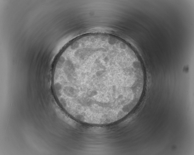 X0000112101075200909151154