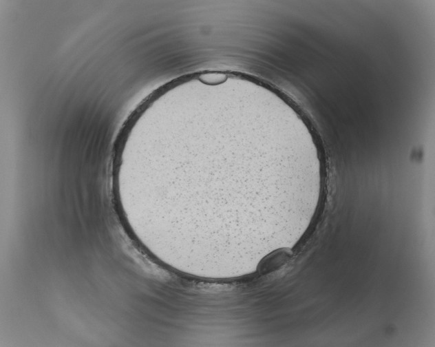 X0000112101076200909151154