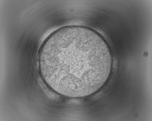 X0000112101078200909151154