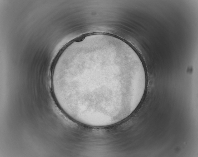 X0000112101080200909151154