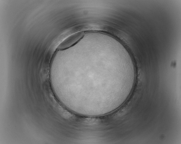 X0000112101081200909151154