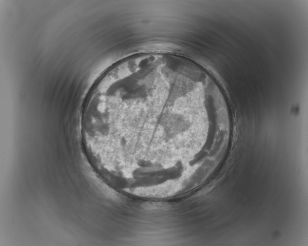 X0000112101083200909151154