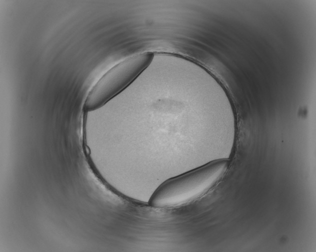 X0000112101084200909151154