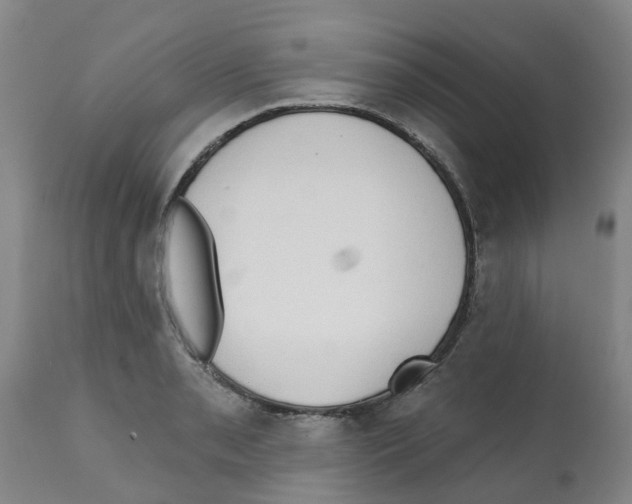 X0000112101085200909151154