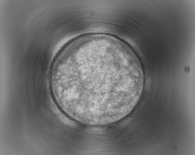 X0000112101086200909151154
