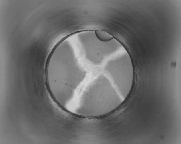 X0000112101087200909151153