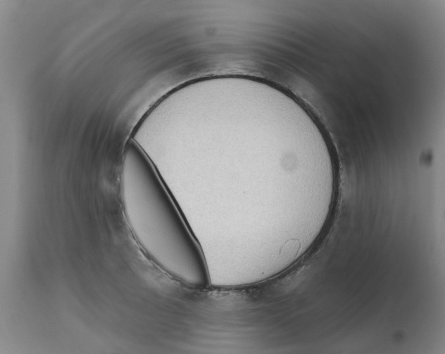 X0000112101089200909151153