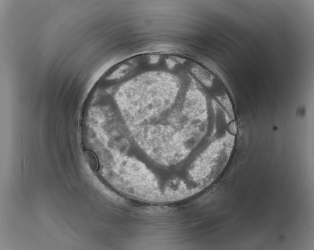 X0000112101091200909151153
