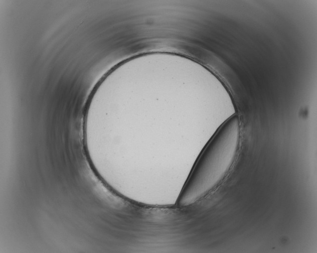 X0000112101092200909151153