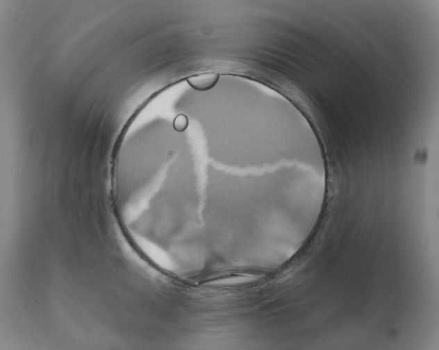 X0000112101095200909151153