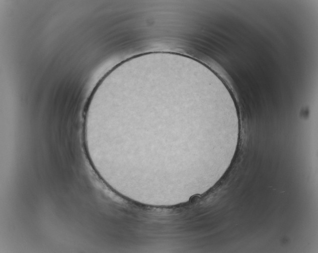 X0000112101096200909151153