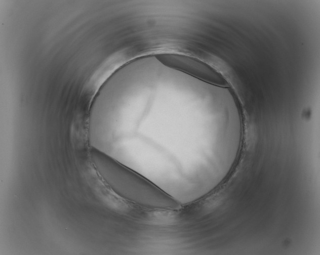 X0000112101097200909151153