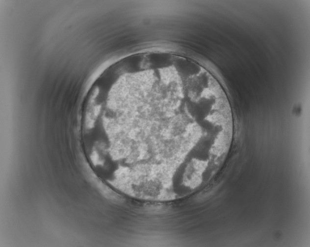 X0000112101099200909151153