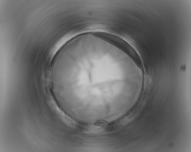 X0000112101101200909151153