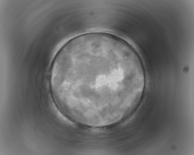 X0000112101102200909151153