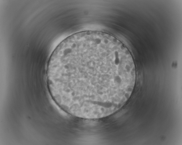 X0000112101103200909151153