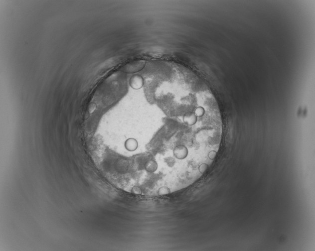 X0000112101105200909151153