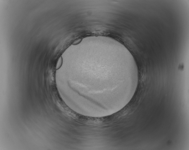 X0000112101106200909151153