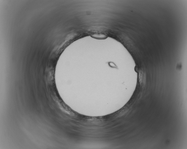 X0000112101107200909151153