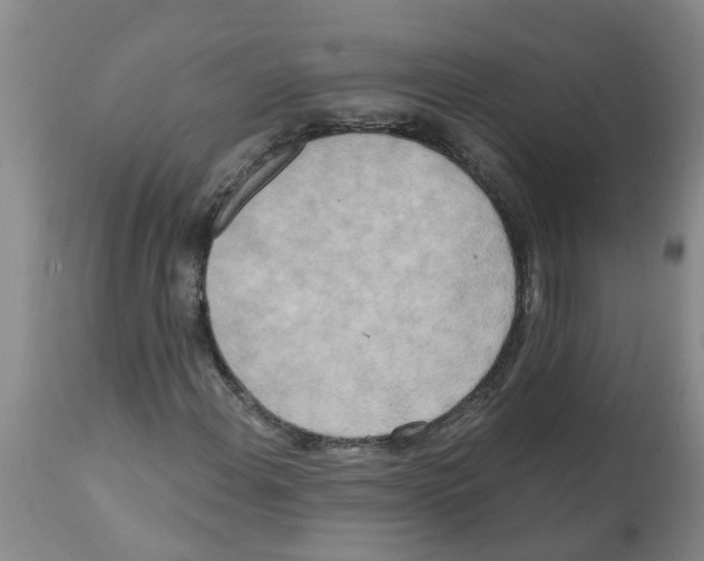 X0000112101108200909151153