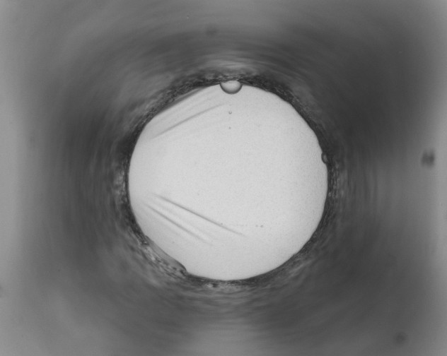 X0000112101109200909151153