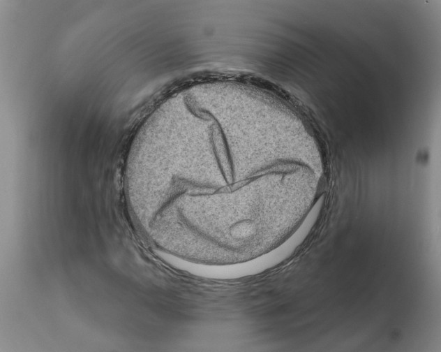 X0000112101110200909151153