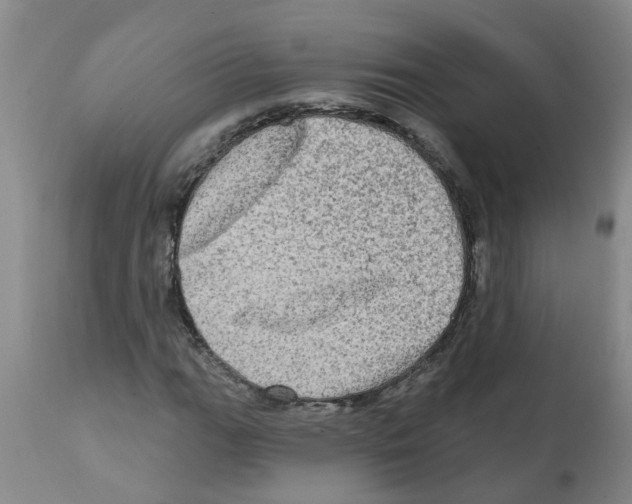 X0000112101111200909151153