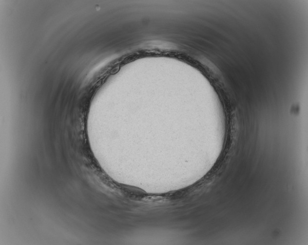 X0000112101112200909151153