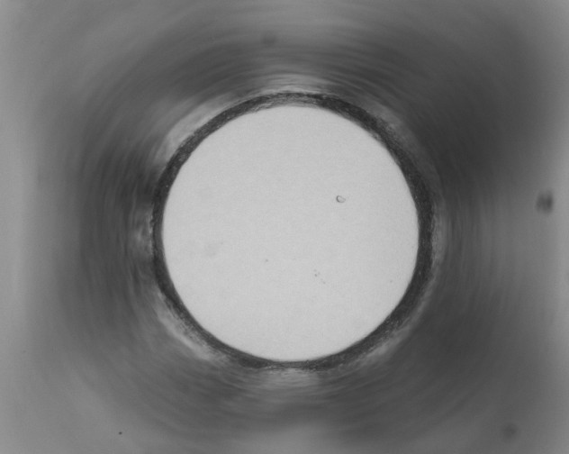 X0000112101113200909151153