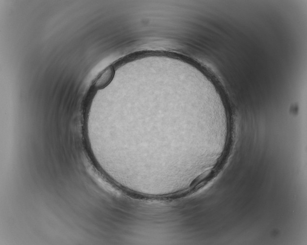X0000112101114200909151153