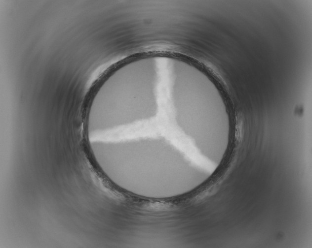 X0000112101117200909151153