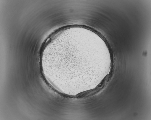X0000112101118200909151153