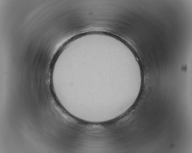 X0000112101119200909151153