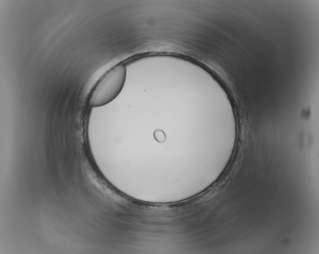 X0000112101120200909151153