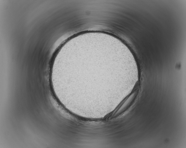 X0000112101122200909151153