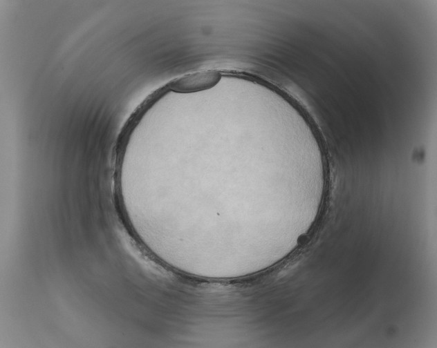 X0000112101124200909151153