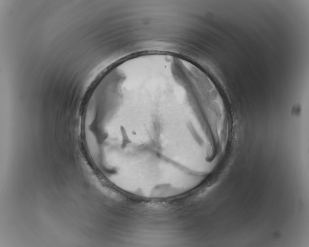 X0000112101125200909151153