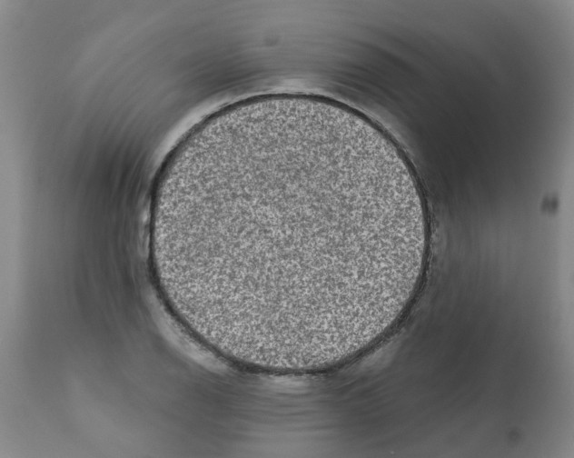 X0000112101126200909151153