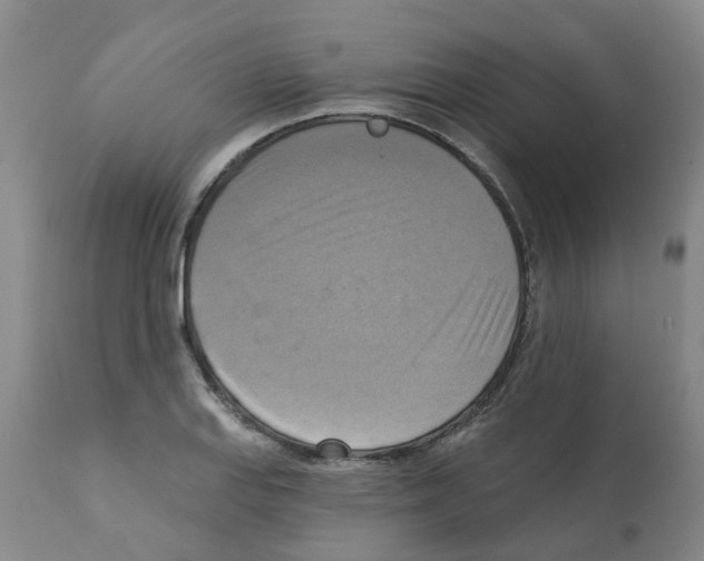 X0000112101127200909151153
