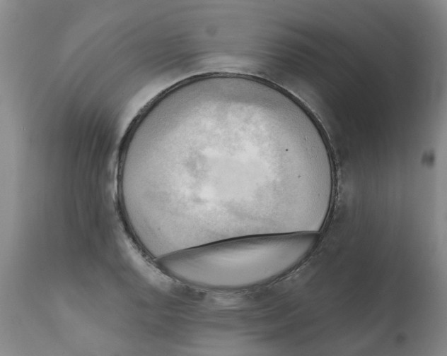 X0000112101128200909151153