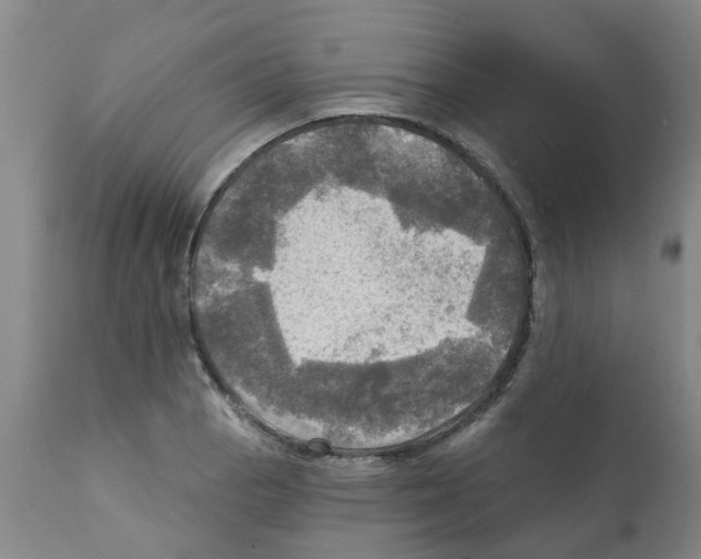 X0000112101129200909151153