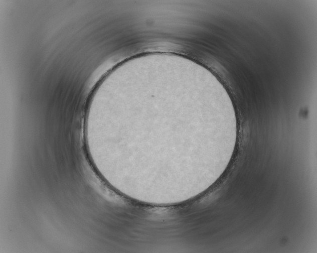 X0000112101130200909151153