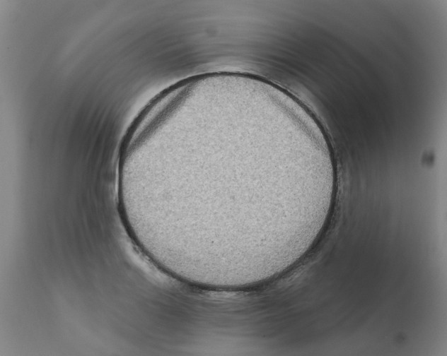 X0000112101132200909151153