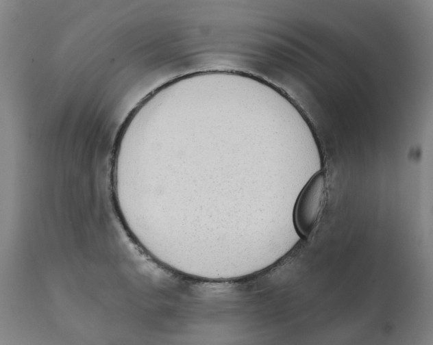 X0000112101134200909151153