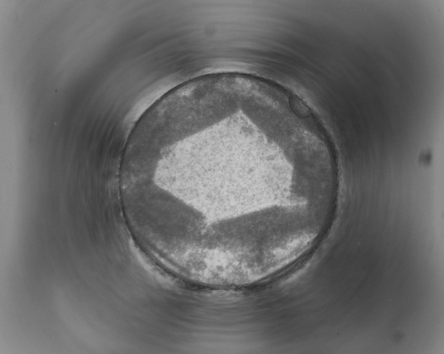 X0000112101137200909151153