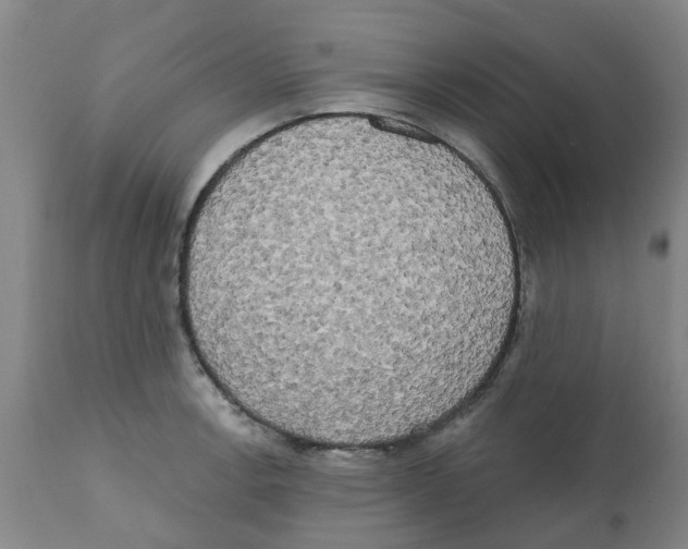 X0000112101138200909151153