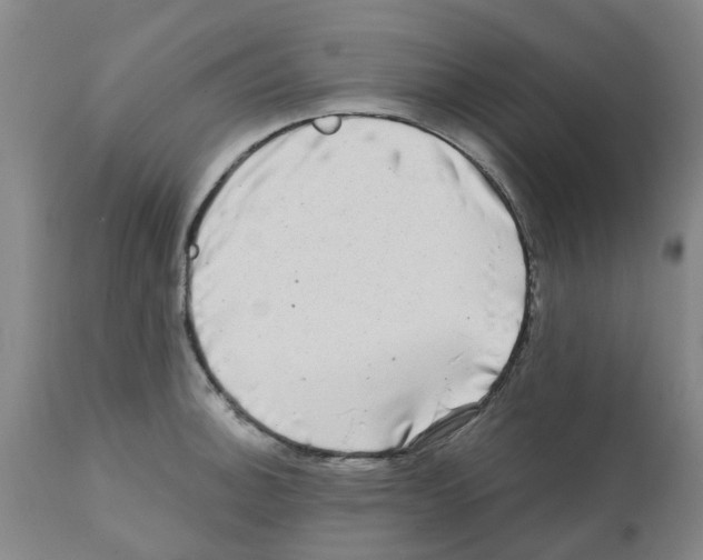 X0000112101140200909151153