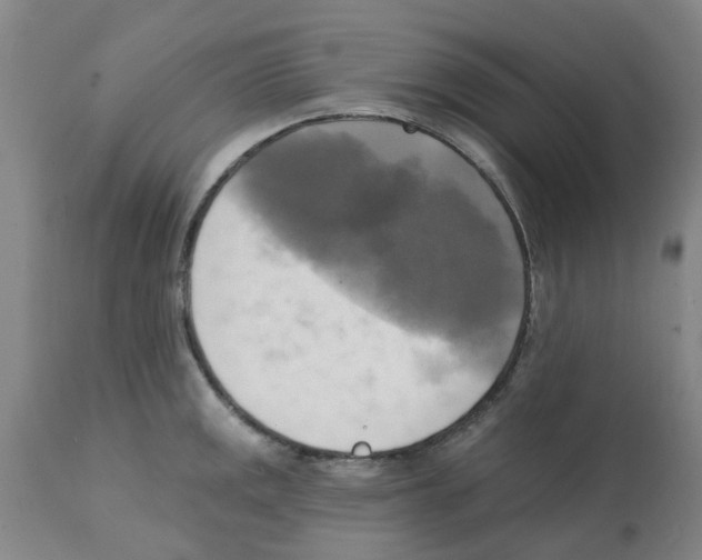 X0000112101141200909151153